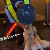 警備員に飛びつく犬
