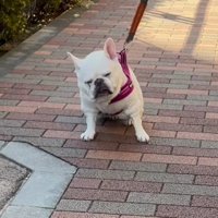 「なんか様子がおかしい…」