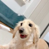 ハムッ