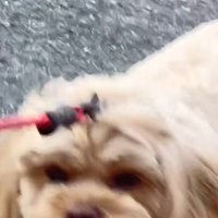 態度の違いが恐ろしい…！！