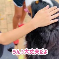 子どもたちの人気者
