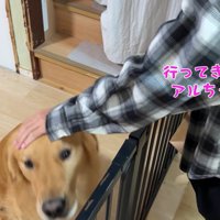 アルト君にさよならするお姉ちゃん