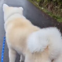 娘さんから目を離さないこうたろう君