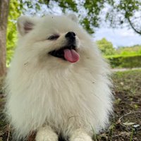 ニコニコ