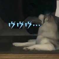 パパが帰宅したとき