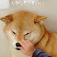 実感は湧かないけれど…