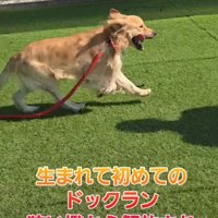 穏やかな毎日になった