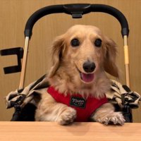 ウキウキ