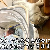 徐々に距離が縮まる