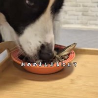 美味しさを目で語るジッピーくん
