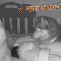 「ちゃんと寝てるよ」