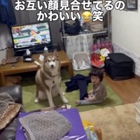 並んで叱られちゃった…