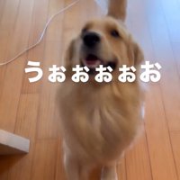 抗議する福ちゃん