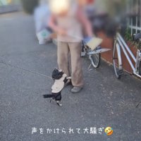 大騒ぎするまろちゃん