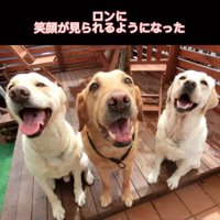 笑顔の大型犬たち
