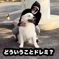 パパから種明かし