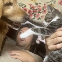 なぜパパの上なのか