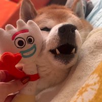 2回もお返事してくれました！