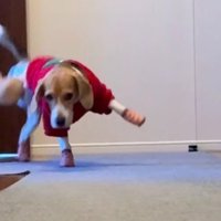 キレイに着地！！