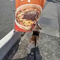 のぼり旗