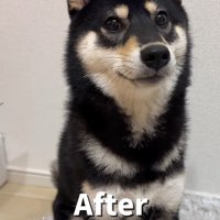 はるちゃんの成長4