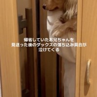 「さびしい…」