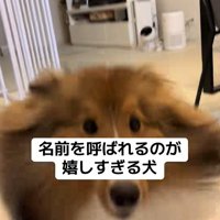 名前を呼ばれた時のリックくん4