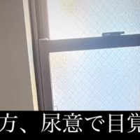 窓辺