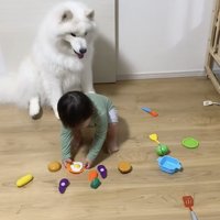 「何か悪いことしたかな…」