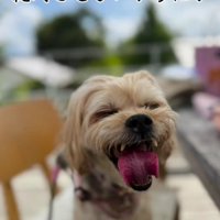 これからも幸せでいてね