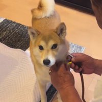 嫌そうな顔にクスッ