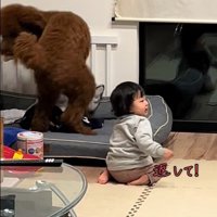 きんとん君VS男の子3