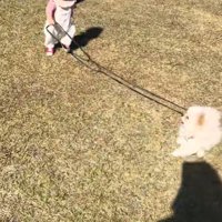 もち君と赤ちゃんのお散歩6