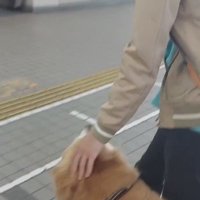 別れを惜しむお兄ちゃん