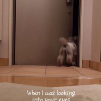 ドアの外へと出ていく犬