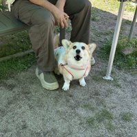 まさかの