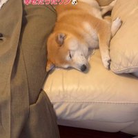 お姉ちゃん帰省時の小春ちゃん＆小太郎くん4