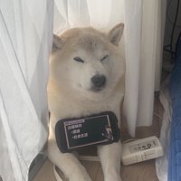 スマホ