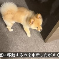 赤ちゃんがぐずり出したら…