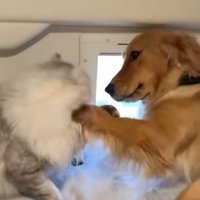 お互いに楽しくて仕方ない♪