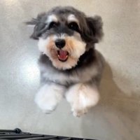 気づいた瞬間に大喜び！