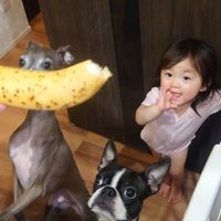 バナナを欲しがる赤ちゃんとワンコたち