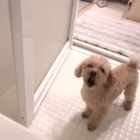「おもちゃ返して！」