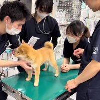 ゆずちゃんと先生たち