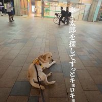 ママさんのお迎えに来たレオンくん2