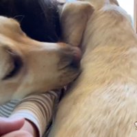 熱烈大歓迎！