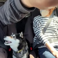 「騙された！ひどい！」