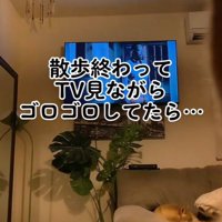 別の日もテレビを見ていたら…