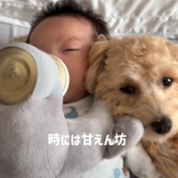 赤ちゃんに甘えることも♡