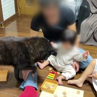 「これ大丈夫？」